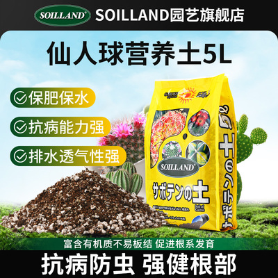 大柿园艺仙人掌类植物球