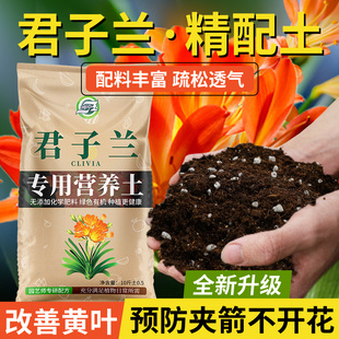 君子兰专用土营养土兰花科肥料盆栽花卉有机种植土壤养花泥土肥料