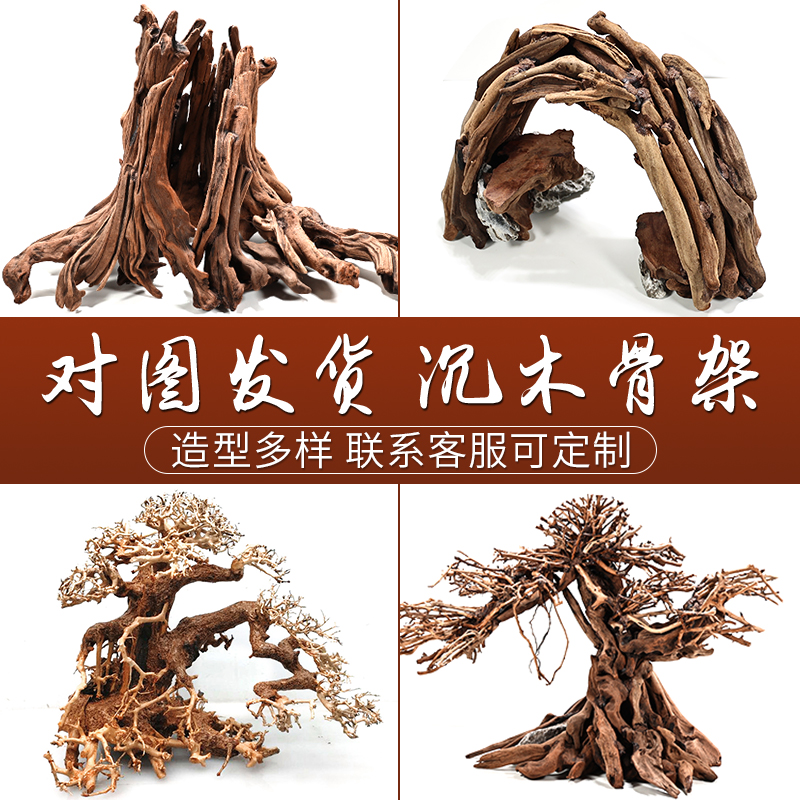 鱼缸造景莫斯树杜鹃根栖