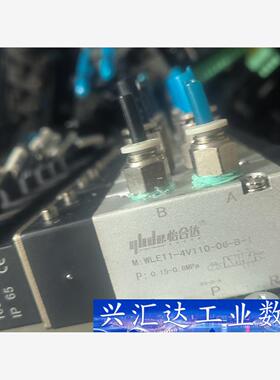 WLE11一4V110一06一B一1，恰合达，300套 议价商品