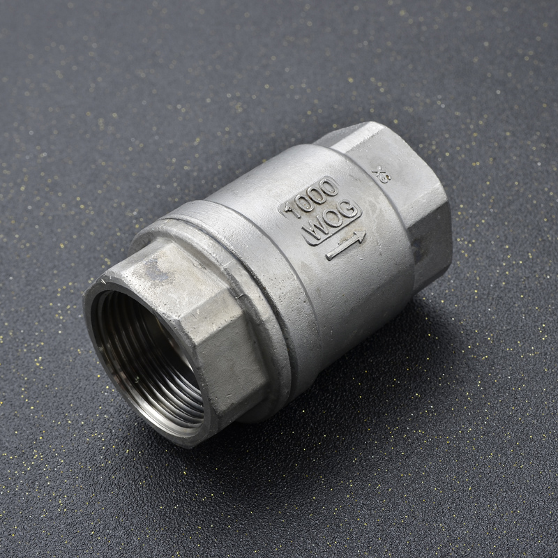 不锈钢立式止回阀单向逆