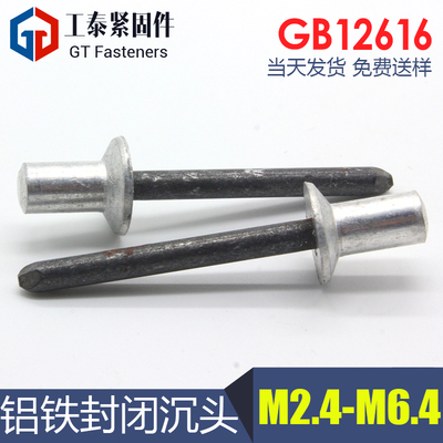 铝铁封闭式沉头抽芯铆钉