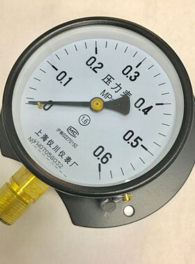 船用压力表 径向带后边 径向带边压力表 y-100t 0-0.6mpam20x1.5