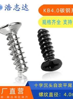 浩志达 M4十字沉头自攻平尾螺丝钉KB4*6-8-10-12-14-16镀镍/黑色