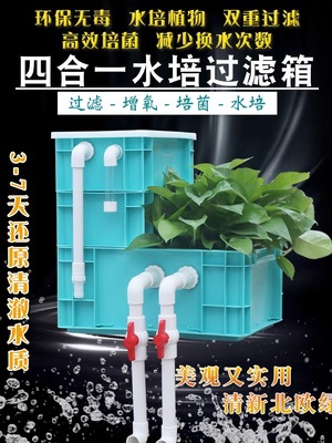 鱼缸周转箱水循环过滤系