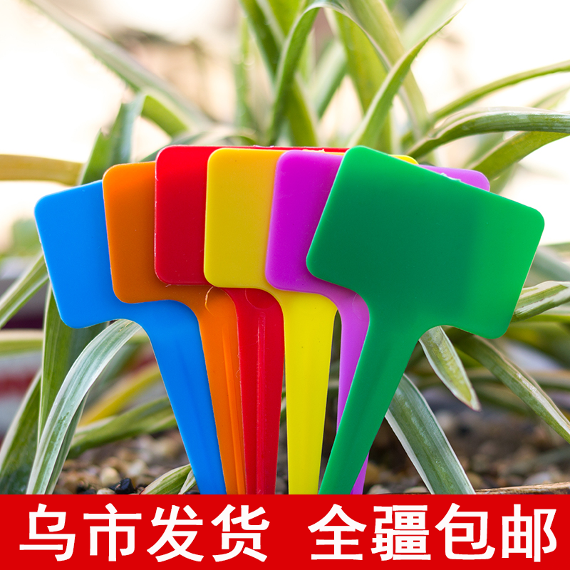 园艺标签多肉识牌塑料植