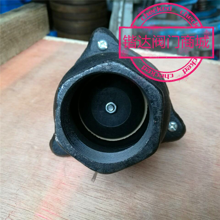 铸铁丝口底阀抽水泵软管