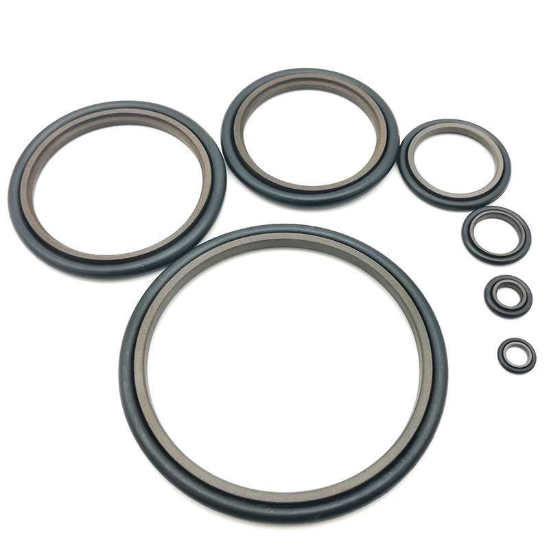 STd轴用斯特封rs 230 245.5 240 255.5 250 265.5*6.3 耐高温腐蚀