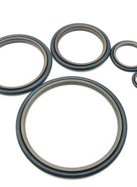 STd轴用斯特封rs 230 245.5 240 255.5 250 265.5*6.3 耐高温腐蚀