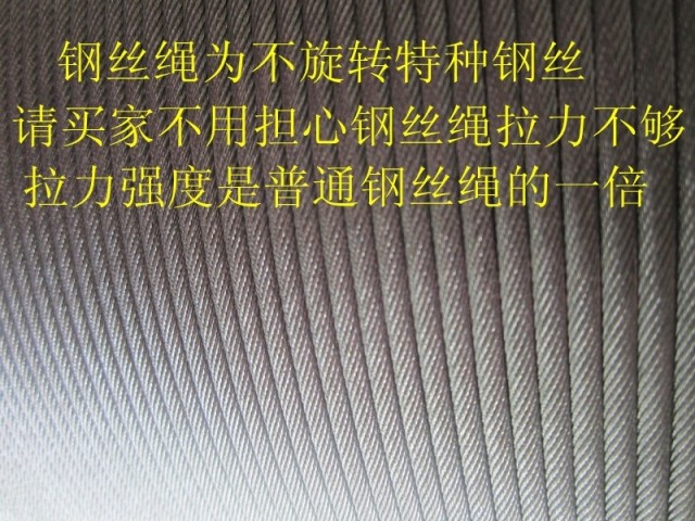 钢丝绳防旋转微型电动葫