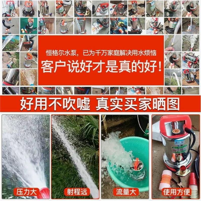 德国进口直流潜水泵电动