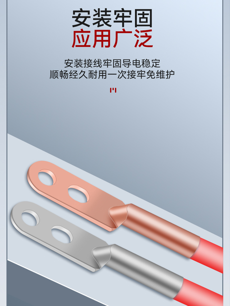 双孔铜鼻子接线端紫镀锡