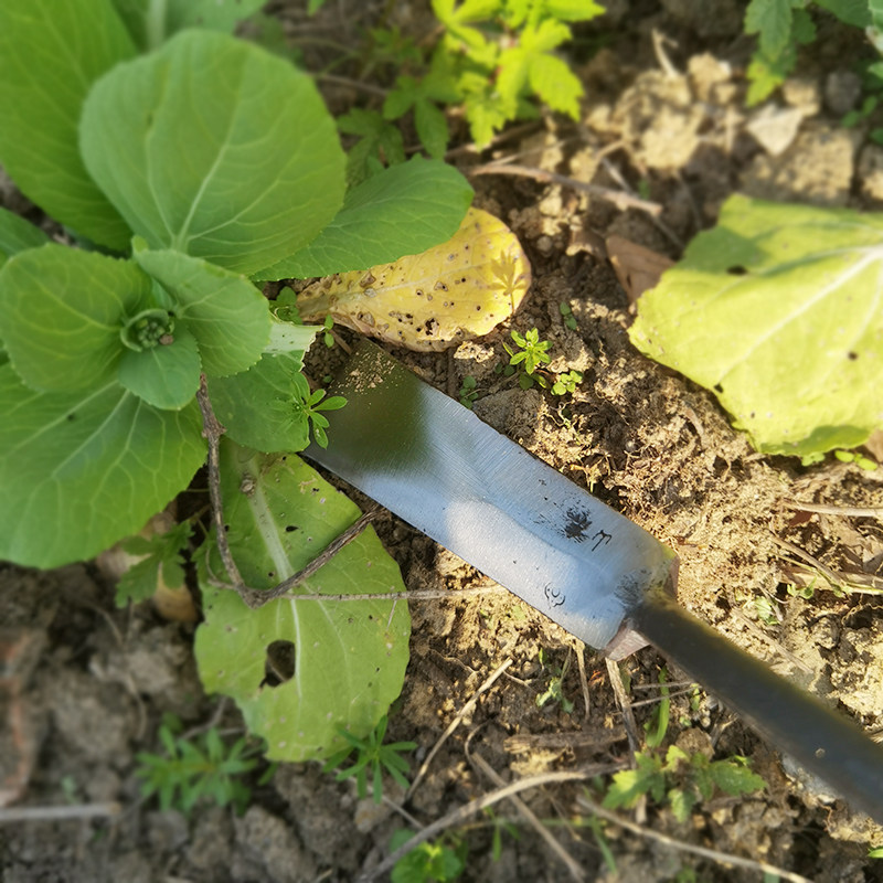 小铲子挖野菜收蒜铲草药起根种花种菜园艺轻便铲子挖芋头农用移苗,畜牧/养殖物资,赶猪器,淘宝优惠券,粉丝福利购,淘宝优惠卷