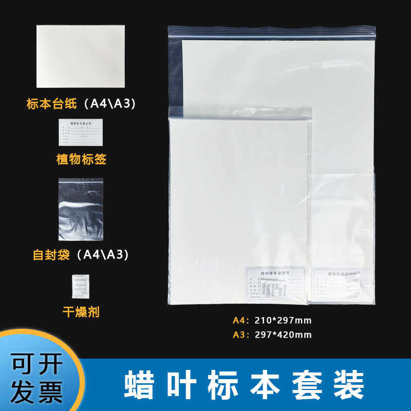 标本台纸袋套装台纸塑封袋 匹配A3/A4腊叶标本台纸 40*30标准台纸