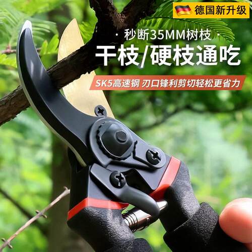 德国进口艺园剪刀修枝树