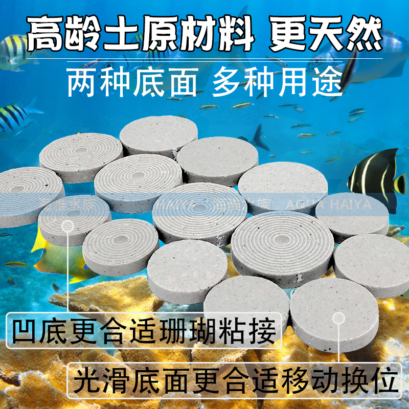 海缸纽扣珊瑚软体繁殖基石纽扣硬骨断枝肢圆形陶瓷基座有凸点底座