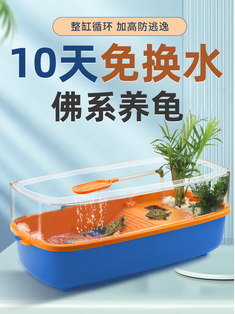 乌龟缸生态饲养专用小别