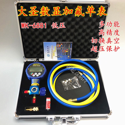 大圣电子加氟表单数显液
