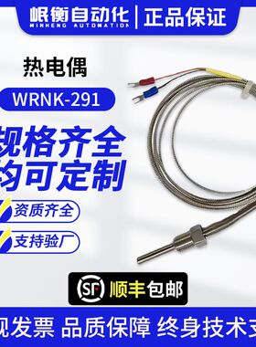 上海仪表 热电偶WRN-291 K型 L=Φ6*250mm 0-1000℃两线制M20*1.5