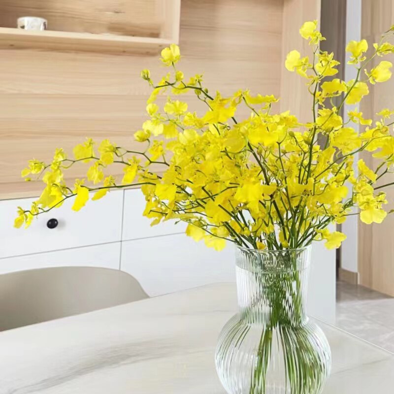 【顺丰冷链】a级跳舞兰洋兰鲜花真花插花昆明云南昆明基地直发*