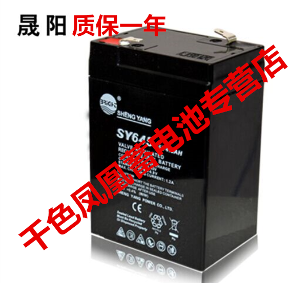 SHENGYANG晟阳电池 SY645 6V4.5AH SY640 6V4.0AH 电子称蓄电池
