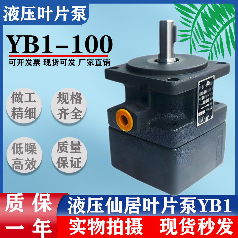 液压YB1叶片泵油泵YB1-6 YB1-10/16/4/20/25/40/50/80/100单双联,3C数码配件,USB多功能数码宝,淘宝优惠券,粉丝福利购,淘宝优惠卷