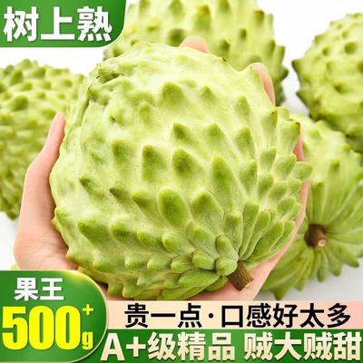 顺丰空运泰国大目释迦果