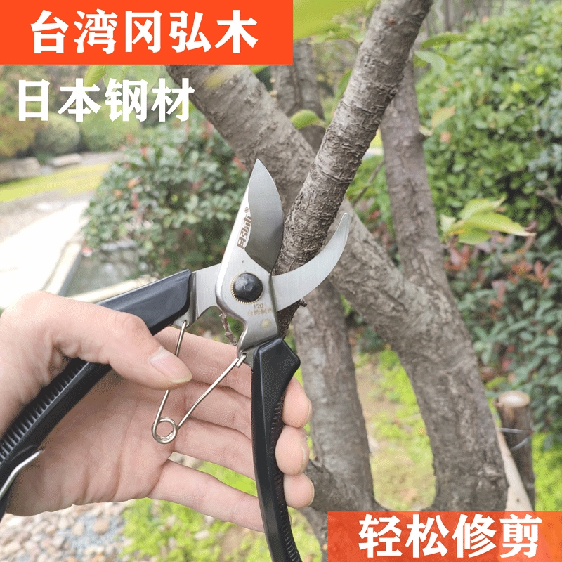 德国进口冈弘木果树修枝剪竹签剪刀花枝修枝剪园艺剪刀修枝神器剪