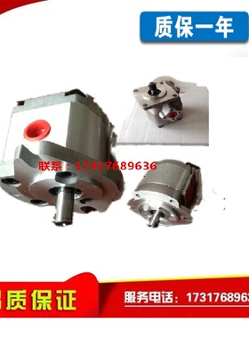新款齿轮泵1AG1P01R/1GG1P01R/02R/03R/04R/05R/06R/08R/09R包邮