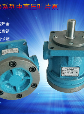 叶片油泵YBD6.3 YBD10 YBD12 YBD16 YBD20 D25 D32 D40 D63 D100