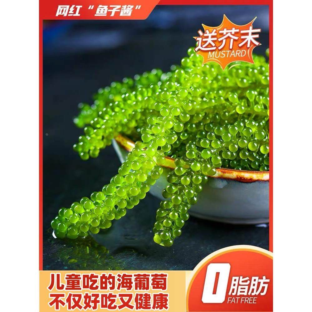儿童海葡萄即食绿色鱼子酱泡发网红凉拌菜零食新鲜盐渍官方旗舰
