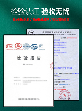 EPS消防应急照明集中电源A型配电箱300W500W1KVA灯具控制分配电箱