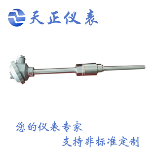 230温度传感器 M27X2固定螺纹安装 WRN K型热电偶 231 带底座 WRNK