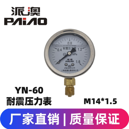 派澳仪表YN60 1.6MPa不锈钢耐震抗震水压油压气压液压M14接头