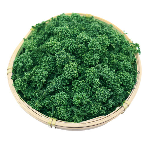 人参花长白山精选人参花茶生新鲜大花蕾正品泡水消渴茶