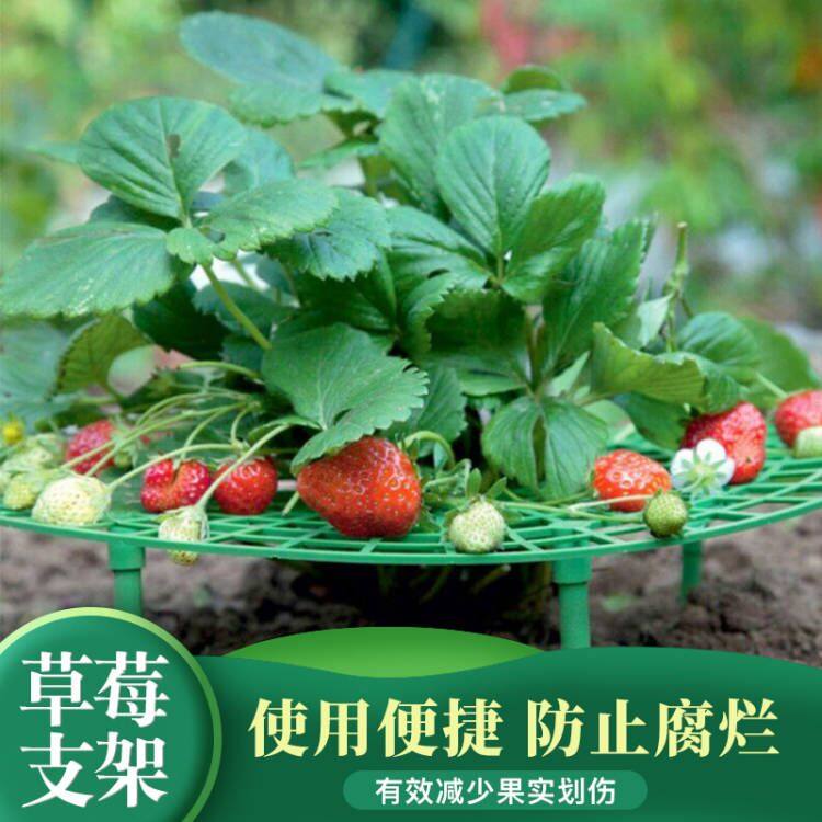 热卖草莓支架落地式幼苗托盘支撑盘家用多肉植物阳台盆栽支撑清仓,居家布艺,窗帘面料,淘宝优惠券,粉丝福利购,淘宝优惠卷