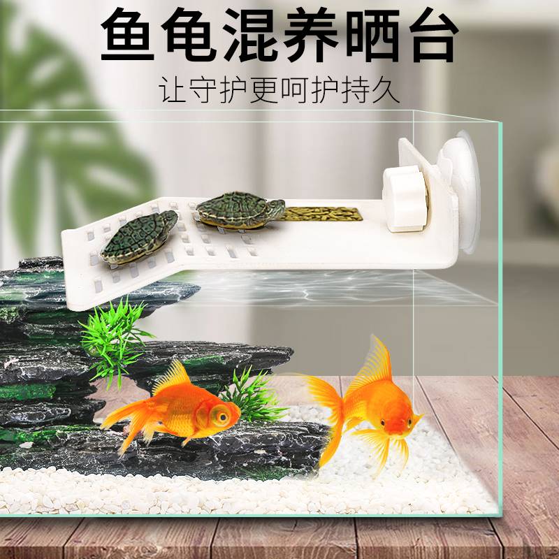 乌龟晒台爬坡浮岛鱼缸水