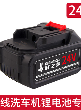 进口锂电池专拍链接锂电洗车专用48VF24VF12VF