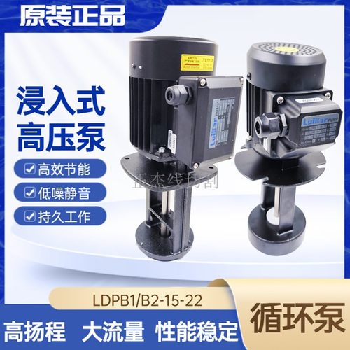 线切割水泵睿嘉洛凯锐浸