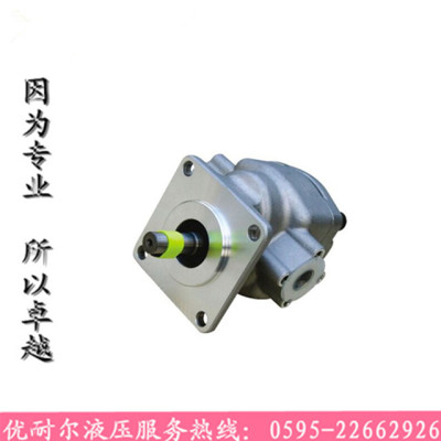 GPY-F2R/F3R/F4R/F5.8R/F6R/F7R/F8R/F9R/F10R/F11.5R/F12R齿轮泵