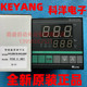 N82JOSO KEYANG科洋 温度调节仪控制器 温控仪表XW D901B D901
