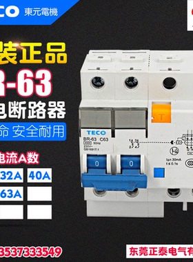 全新原装 TECO台安 漏电断路器 BR-63 2P C25 C32 C40 C50 C63