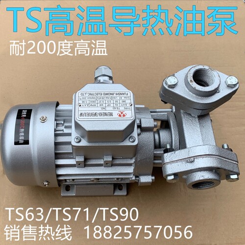 JIN WEITS-63导热油泵370W750W款模温机热油循环泵耐高温200°C