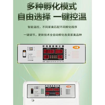 全自动孵化器家用智能小