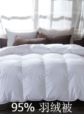 95% white goose down winter quilt comforter blanket duvet 被