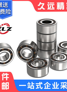 瑞典轴承S5207 5208 5209 5210 5300 5301 5302 5303 53042RS