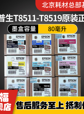 原装爱普生T8519墨盒SC-P808墨盒T8512T8513T8514T8515T8516T8517