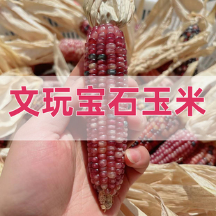 编号1288-1343文玩玉米手把件草莓熊碎碎冰毛料真玉米 一物一拍