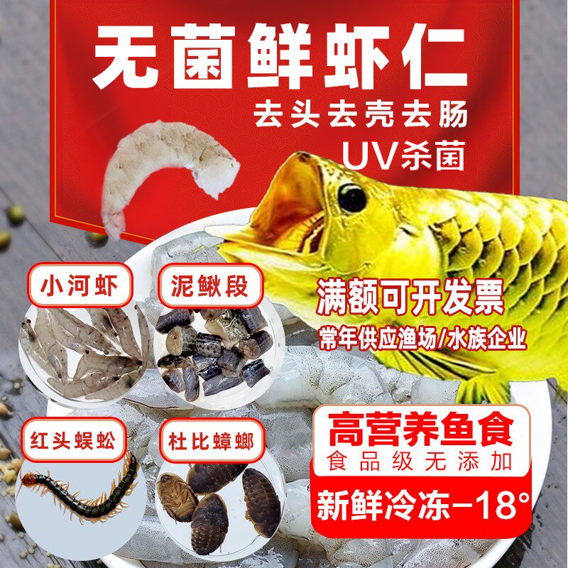 新鲜冷冻虾仁冰冻淡水河虾草金泥鳅龙鱼专用鱼食虎鱼魟鱼活体饲料