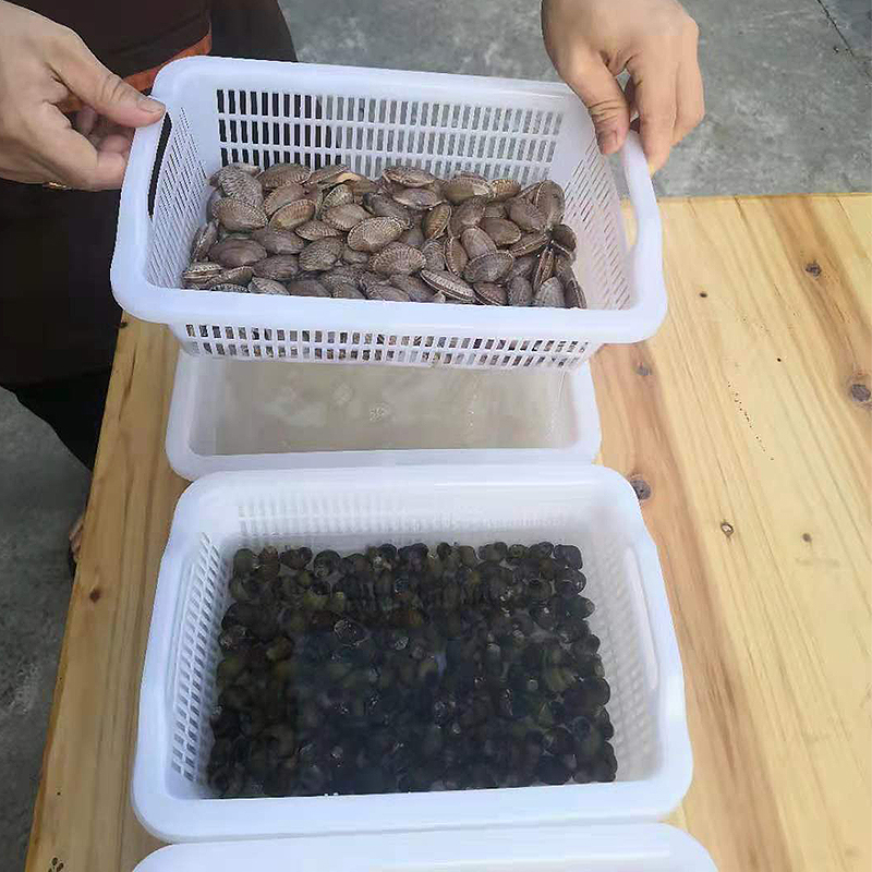 长方形家用水果蔬菜洗筛